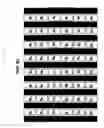 Fig. 06 - Stereoscopic image display apparatus of net pattern