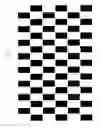 Fig. 10 - Stereoscopic image display apparatus of net pattern