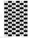 Fig. 12 - Stereoscopic image display apparatus of net pattern