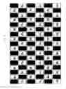 Fig. 13 - Stereoscopic image display apparatus of net pattern
