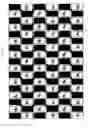 Fig. 16 - Stereoscopic image display apparatus of net pattern