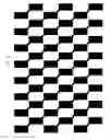Fig. 17 - Stereoscopic image display apparatus of net pattern