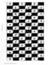 Fig. 18 - Stereoscopic image display apparatus of net pattern