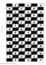 Fig. 19 - Stereoscopic image display apparatus of net pattern