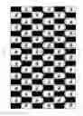Fig. 22 - Stereoscopic image display apparatus of net pattern