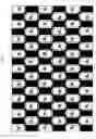 Fig. 24 - Stereoscopic image display apparatus of net pattern