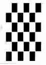 Fig. 26 - Stereoscopic image display apparatus of net pattern