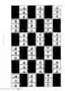Fig. 28 - Stereoscopic image display apparatus of net pattern
