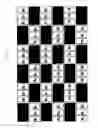 Fig. 29 - Stereoscopic image display apparatus of net pattern