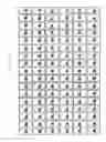 Fig. 31 - Stereoscopic image display apparatus of net pattern