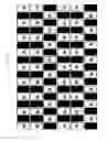 Fig. 32 - Stereoscopic image display apparatus of net pattern