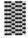 Fig. 33 - Stereoscopic image display apparatus of net pattern