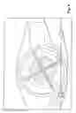 Fig. 06 - Eye registration system for refractive surgery and associated methods