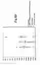 Fig. 11 - OPTICAL MEASUREMENT OF FILL LEVEL