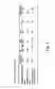 Fig. 09 - SPECTRALLY TUNABLER LASER MODULE