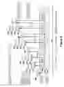 Fig. 06 - METHOD AND APPARATUS FOR MULTIPLE REFERENCE PICTURE MOTION ESTIMATION