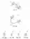 Fig. 09 - ACTUATOR SYSTEMS FOR ORAL-BASED APPLIANCES