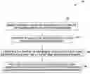 Fig. 01 - System and method for contrast enhancement of time-resolved fluorescence images