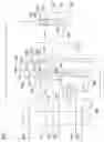 Fig. 02 - Cryogenic system for neon production