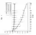 Fig. 07 - ENZYME DISRUPTION OF BACTERIAL BIOFILMS