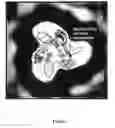 Fig. 02 - CONSTRAINED HIV ENVELOPE-BASED IMMUNOGEN THAT SIMULTANEOUSLY PRESENTS RECEPTOR AND CORECEPTOR BINDING SITES