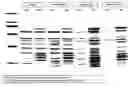 Fig. 01 - Polypeptides and immunizing compositions containing gram positive polypeptides and methods of use