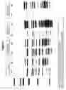 Fig. 02 - Polypeptides and immunizing compositions containing gram positive polypeptides and methods of use
