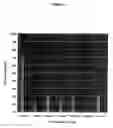 Fig. 03 - Polypeptides and immunizing compositions containing gram positive polypeptides and methods of use