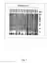 Fig. 02 - CHLAMYDIA PNEUMONIAE ANTIGENS