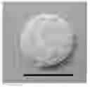 Fig. 01 - Method for preparing porous scaffold for tissue engineering, cell culture and cell delivery