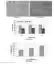 Fig. 07 - Bionanocomposite Materials and Methods For Producing and Using the Same