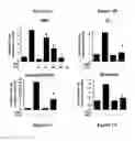Fig. 02 - METHOD AND COMPOSITIONS FOR TREATMENT OR PREVENTION OF INFLAMMATORY CONDITIONS