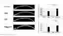 Fig. 04 - OSTEOGENIC BIOMATERIAL CONTAINING OSTEOGENESIS PROMOTING SUBSTANCE AND NANOGEL
