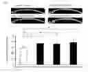 Fig. 07 - OSTEOGENIC BIOMATERIAL CONTAINING OSTEOGENESIS PROMOTING SUBSTANCE AND NANOGEL