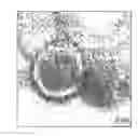 Fig. 01 - Nanoscale silicon particles