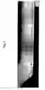 Fig. 02 - Blaze cladding for direct metal laser sintered materials