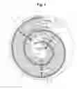 Fig. 02 - Wound-type electric storage device including electrode sheets