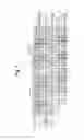 Fig. 08 - Wound-type electric storage device including electrode sheets