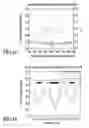 Fig. 02 - Method, program product and apparatus for performing double exposure lithography