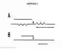 Fig. 09 - Methods for detection and typing of nucleic acids