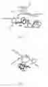 Fig. 07 - METHODS FOR IDENTIFYING AGENTS THAT MODULATE APOPTOSIS IN CELLS THAT OVER-EXPRESS A BCL-2 FAMILY MEMBER PROTEIN