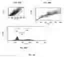 Fig. 49 - AMPK modulation as a method of regulating stem cell and cancer stem cell proliferation, self-renewal and differentiation