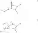Fig. 02 - Compositions and Methods for the Isolation of Biologically Active Proteins
