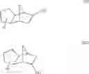 Fig. 80 - Compositions and Methods for the Isolation of Biologically Active Proteins