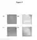 Fig. 06 - SUBSTRATES, DEVICES, AND METHODS FOR QUANTITATIVE LIQUID CRYSTAL ASSAYS