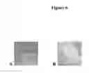 Fig. 07 - SUBSTRATES, DEVICES, AND METHODS FOR QUANTITATIVE LIQUID CRYSTAL ASSAYS