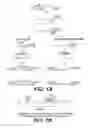 Fig. 02 - Use of triplex structure DNA in transferring nucleotide sequences