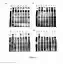 Fig. 08 - Device and method for ambient storage of fresh/frozen tissue sections via desiccation