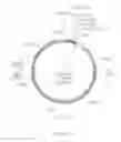 Fig. 06 - Caustic stable chromatography ligands