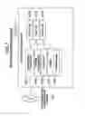 Fig. 08 - COMMUNICATION METHOD, COMMUNICATION SYSTEM AND ACCESS METHOD TO SERVICE PROVIDER BASE